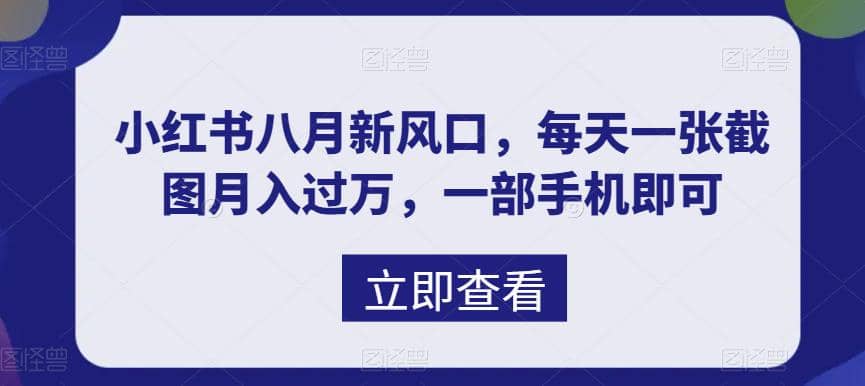 八月新风口，小红书虚拟项目一天收入1000+，实战揭秘网创吧-网创项目资源站-副业项目-创业项目-搞钱项目八百网赚