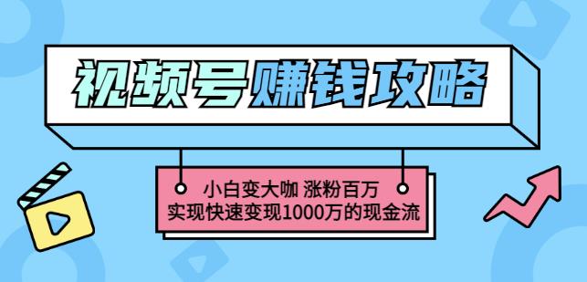玩转微信视频号赚钱：小白变大咖涨粉百万实现快速变现1000万的现金流网创吧-网创项目资源站-副业项目-创业项目-搞钱项目八百网赚