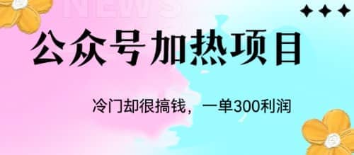 冷门公众号加热项目，一单利润300+网创吧-网创项目资源站-副业项目-创业项目-搞钱项目八百网赚