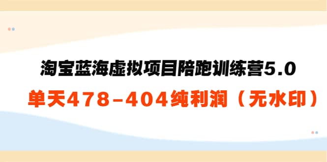 淘宝蓝海虚拟项目陪跑训练营5.0：单天478纯利润（无水印）网创吧-网创项目资源站-副业项目-创业项目-搞钱项目八百网赚