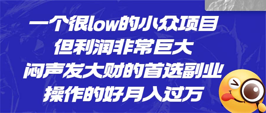 一个很low的小众项目，但利润非常巨大，闷声发大财的首选副业，月入过万网创吧-网创项目资源站-副业项目-创业项目-搞钱项目八百网赚