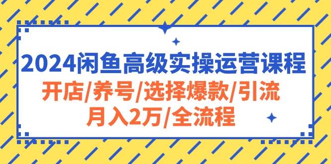 2024闲鱼高级实操运营课程：开店/养号/选择爆款/引流/月入2万/全流程网创吧-网创项目资源站-副业项目-创业项目-搞钱项目八百网赚