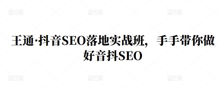 王通·抖音SEO落地实战班，手‬手带你做好音抖‬‬SEO网创吧-网创项目资源站-副业项目-创业项目-搞钱项目八百网赚