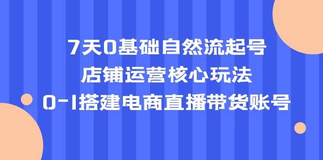 7天0基础自然流起号，店铺运营核心玩法，0-1搭建电商直播带货账号网创吧-网创项目资源站-副业项目-创业项目-搞钱项目八百网赚