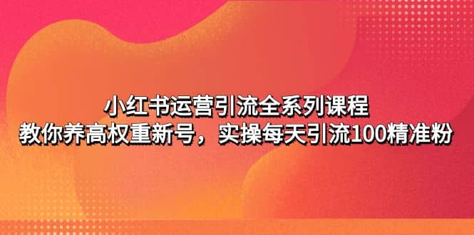 小红书运营引流全系列课程：教你养高权重新号网创吧-网创项目资源站-副业项目-创业项目-搞钱项目八百网赚