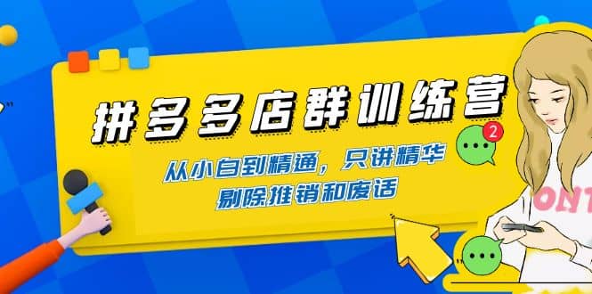 拼多多店群训练营：从小白到精通，只讲精华，剔除推销和废话网创吧-网创项目资源站-副业项目-创业项目-搞钱项目八百网赚