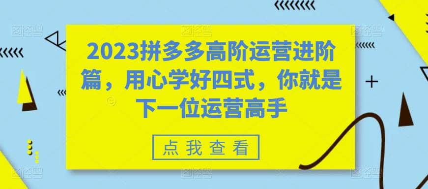 2023拼多多高阶运营进阶篇，用心学好四式，你就是下一位运营高手网创吧-网创项目资源站-副业项目-创业项目-搞钱项目八百网赚