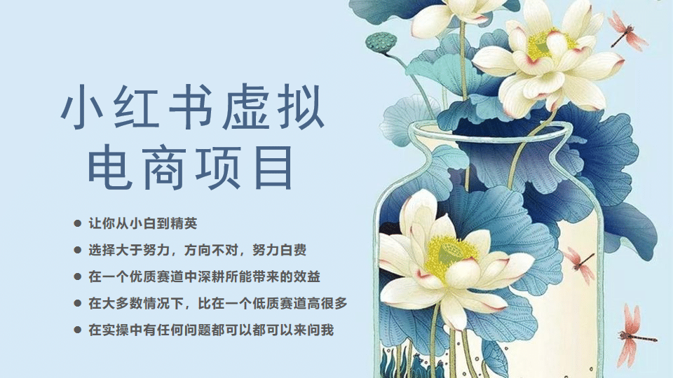 小红书虚拟电商从0到1，让你从小白到精英（20节实操课程）网创吧-网创项目资源站-副业项目-创业项目-搞钱项目八百网赚