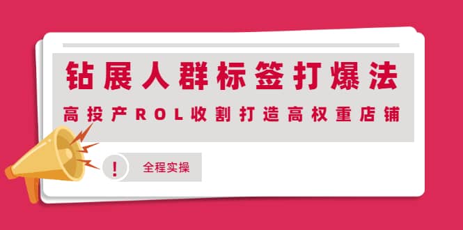钻展人群标签打爆法，高投产ROL收割打造高权重店铺(全程实操)网创吧-网创项目资源站-副业项目-创业项目-搞钱项目八百网赚