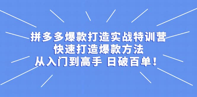 拼多多爆款打造实战特训营：快速打造爆款方法，从入门到高手 日破百单网创吧-网创项目资源站-副业项目-创业项目-搞钱项目八百网赚