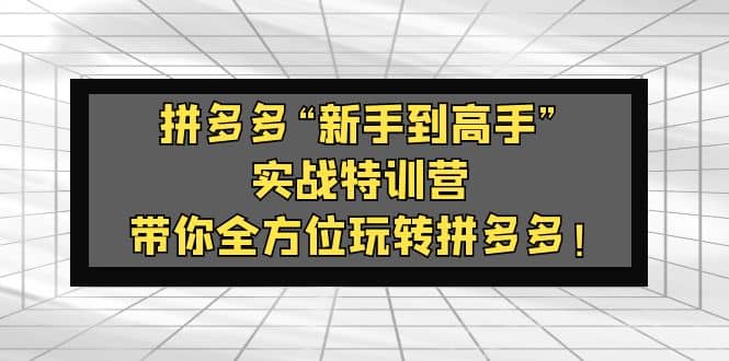 拼多多“新手到高手”实战特训营：带你全方位玩转拼多多网创吧-网创项目资源站-副业项目-创业项目-搞钱项目八百网赚
