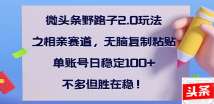 全网首发微头条野路子2.0玩法之相亲赛道，无脑搬砖复制粘贴，单账号日稳定300+保姆级教程网创吧-网创项目资源站-副业项目-创业项目-搞钱项目八百网赚