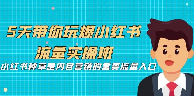 5天带你玩爆小红书流量实操班，小红书种草是内容营销的重要流量入口网创吧-网创项目资源站-副业项目-创业项目-搞钱项目八百网赚