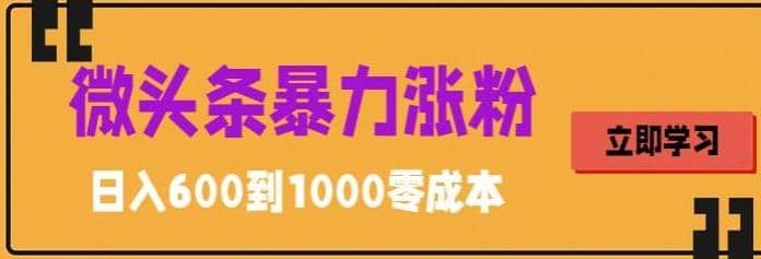微头条暴力涨粉技巧搬运文案就能涨几万粉丝，简单0成本，日赚600网创吧-网创项目资源站-副业项目-创业项目-搞钱项目八百网赚