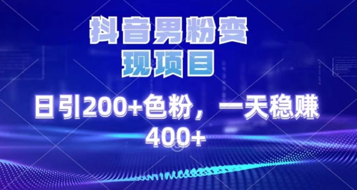 2025最新男粉项目 日引200 轻松月入2w+网创吧-网创项目资源站-副业项目-创业项目-搞钱项目八百网赚