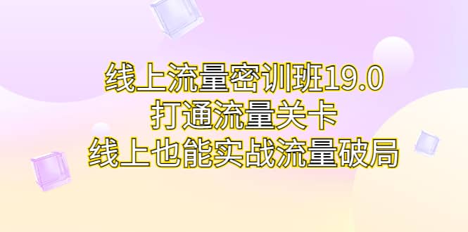 线上流量密训班19.0，打通流量关卡，线上也能实战流量破局网创吧-网创项目资源站-副业项目-创业项目-搞钱项目八百网赚