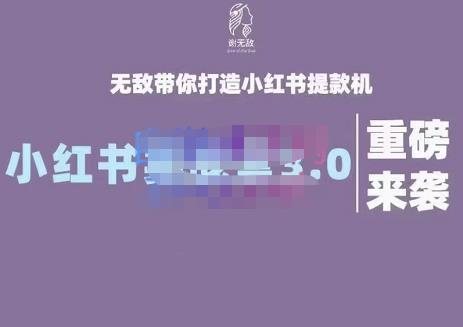 谢无敌·小红书实战营3.0，无敌带你打造小红书提款机 价值7999元网创吧-网创项目资源站-副业项目-创业项目-搞钱项目八百网赚