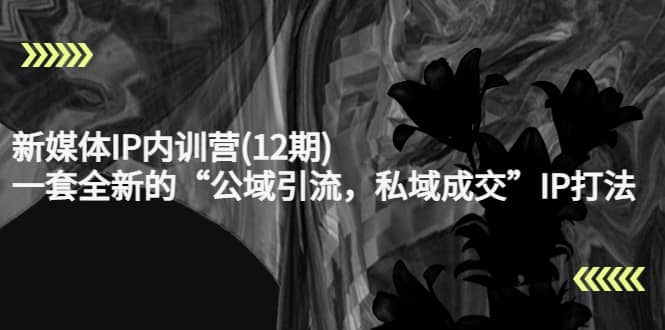 新媒体IP内训营(12期)，一套全新的“公域引流，私域成交”IP打法，直接带走网创吧-网创项目资源站-副业项目-创业项目-搞钱项目八百网赚