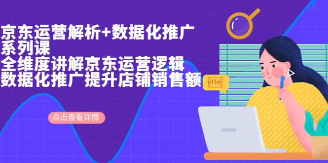 京东运营解析与数据化推广系列课，全维度讲解京东运营逻辑+数据化推广提升店铺销售额网创吧-网创项目资源站-副业项目-创业项目-搞钱项目八百网赚
