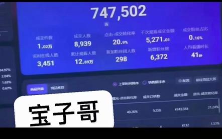 宝子哥无人直播，半无人直播，Obs+伴侣玩法，快速打标签+养鱼网创吧-网创项目资源站-副业项目-创业项目-搞钱项目八百网赚