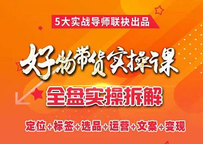 抖音好物带货实操课，全盘拆解抖音好物带货号全套流程打法网创吧-网创项目资源站-副业项目-创业项目-搞钱项目八百网赚
