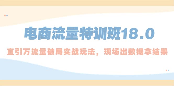 电商流量特训班18.0，直引万流量破局实操玩法，现场出数据拿结果网创吧-网创项目资源站-副业项目-创业项目-搞钱项目八百网赚
