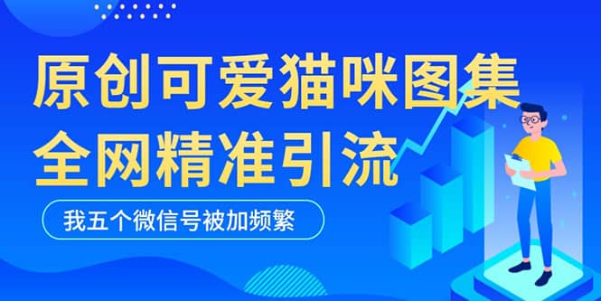 黑科技纯原创可爱猫咪图片，全网精准引流，实操5个VX号被加频繁网创吧-网创项目资源站-副业项目-创业项目-搞钱项目八百网赚