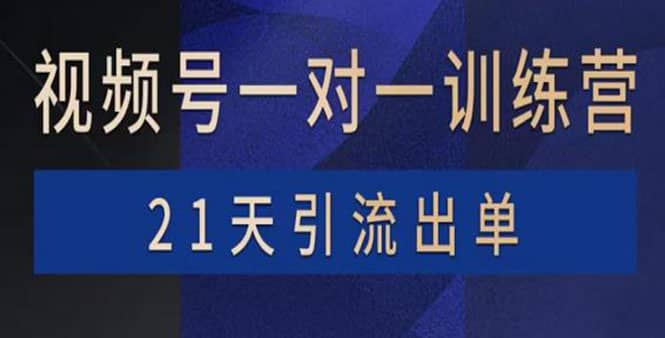视频号训练营：带货，涨粉，直播，游戏，四大变现新方向，21天引流出单网创吧-网创项目资源站-副业项目-创业项目-搞钱项目八百网赚