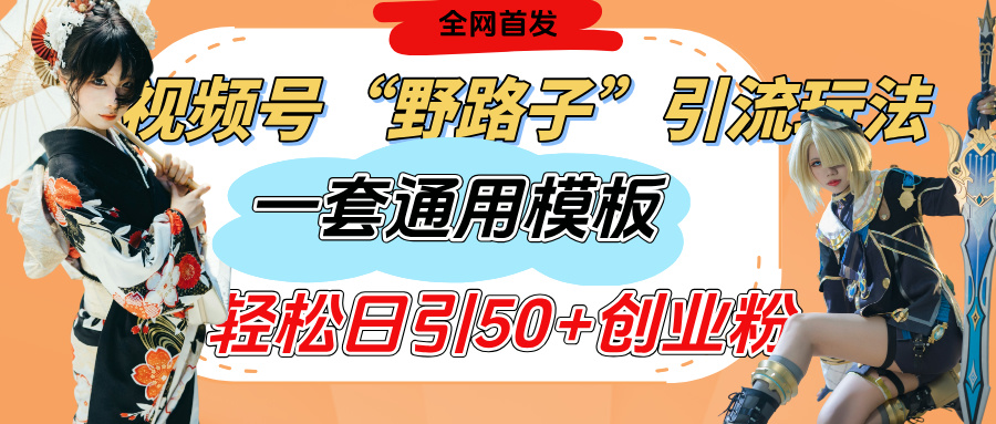 视频号“野路子”玩法，评论区疯狂截流，一套模板单日单号引流50+创业粉网创吧-网创项目资源站-副业项目-创业项目-搞钱项目八百网赚