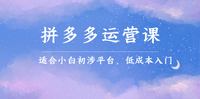拼多多运营课，适合小白初涉平台，低成本入门网创吧-网创项目资源站-副业项目-创业项目-搞钱项目八百网赚