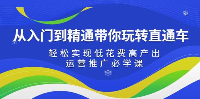 从入门到精通带你玩转直通车：轻松实现低花费高产出，35节运营推广必学课网创吧-网创项目资源站-副业项目-创业项目-搞钱项目八百网赚