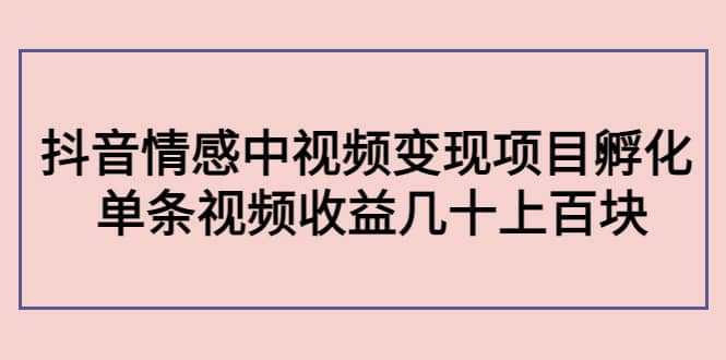 抖音情感中视频变现项目孵化网创吧-网创项目资源站-副业项目-创业项目-搞钱项目八百网赚