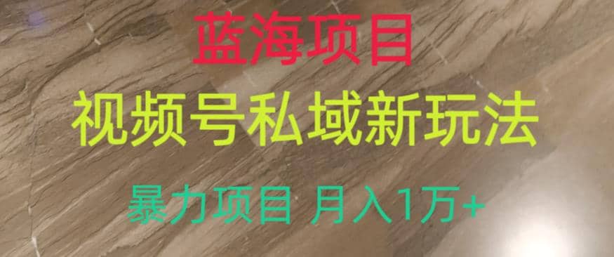 蓝海项目，视频号私域新玩法，暴力项目月入1万+【揭秘】网创吧-网创项目资源站-副业项目-创业项目-搞钱项目八百网赚