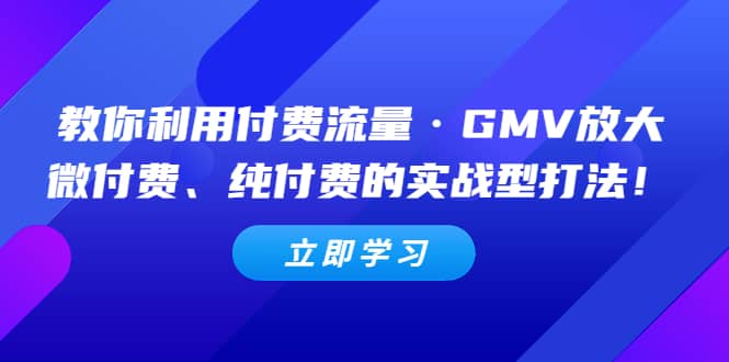 教你利用付费流量·GMV放大，微付费、纯付费的实战型打法网创吧-网创项目资源站-副业项目-创业项目-搞钱项目八百网赚