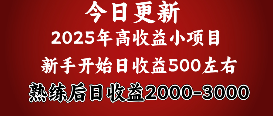 2025开年好项目，新手日收益500+ 熟练掌握后，日收益平均2000多网创吧-网创项目资源站-副业项目-创业项目-搞钱项目八百网赚