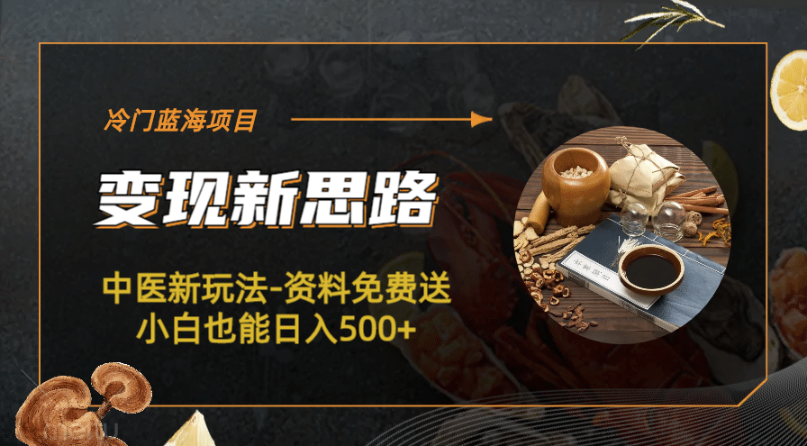 冷门蓝海项目-中医新玩法-冷门蓝海项目-中医新玩法-资料免费送小白也能日入500+500+网创吧-网创项目资源站-副业项目-创业项目-搞钱项目八百网赚