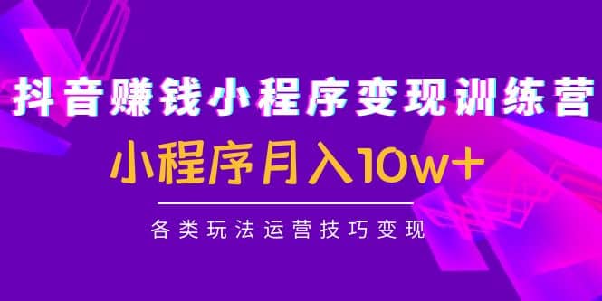 抖音小程序变现训练营：小程序各类玩法运营技巧变现网创吧-网创项目资源站-副业项目-创业项目-搞钱项目八百网赚