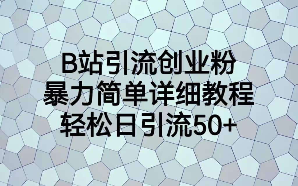 B站引流创业粉，暴力简单详细教程，轻松日引流50+网创吧-网创项目资源站-副业项目-创业项目-搞钱项目八百网赚