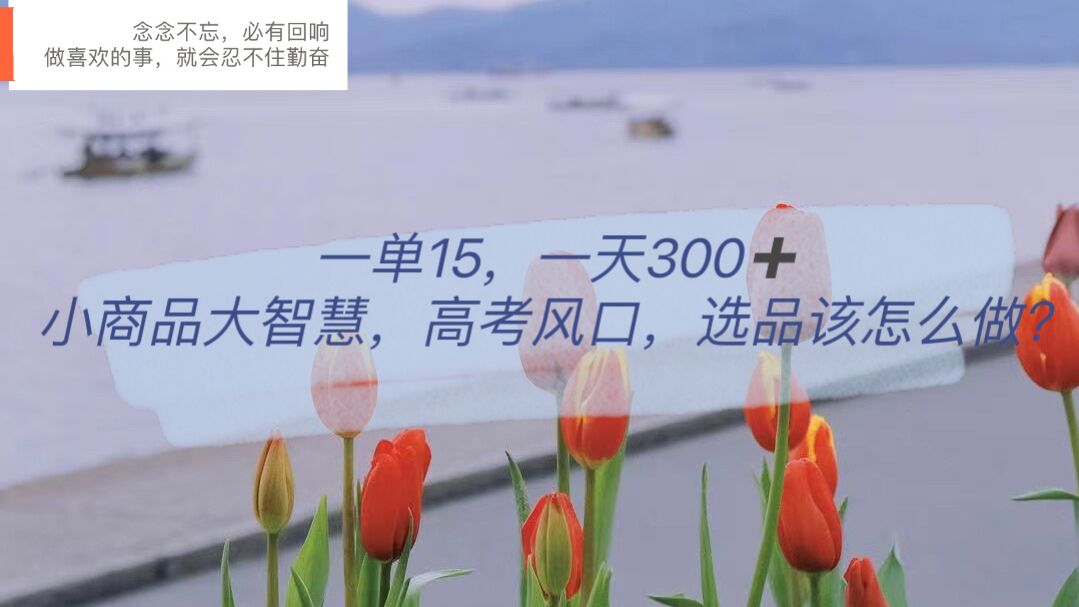 一单15，一天300+，小商品大智慧，高考风口，选品该怎么布局网创吧-网创项目资源站-副业项目-创业项目-搞钱项目八百网赚