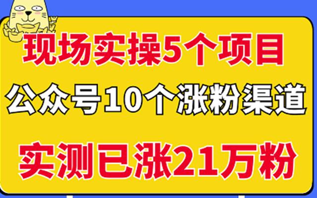 现场实操5个公众号项目，10个涨粉渠道，实测已涨21万粉！网创吧-网创项目资源站-副业项目-创业项目-搞钱项目八百网赚