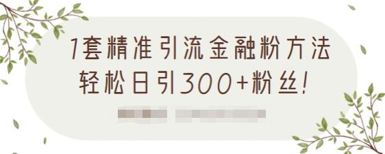 1套精准引流金融粉方法，轻松日引300+粉丝【视频课程】网创吧-网创项目资源站-副业项目-创业项目-搞钱项目八百网赚