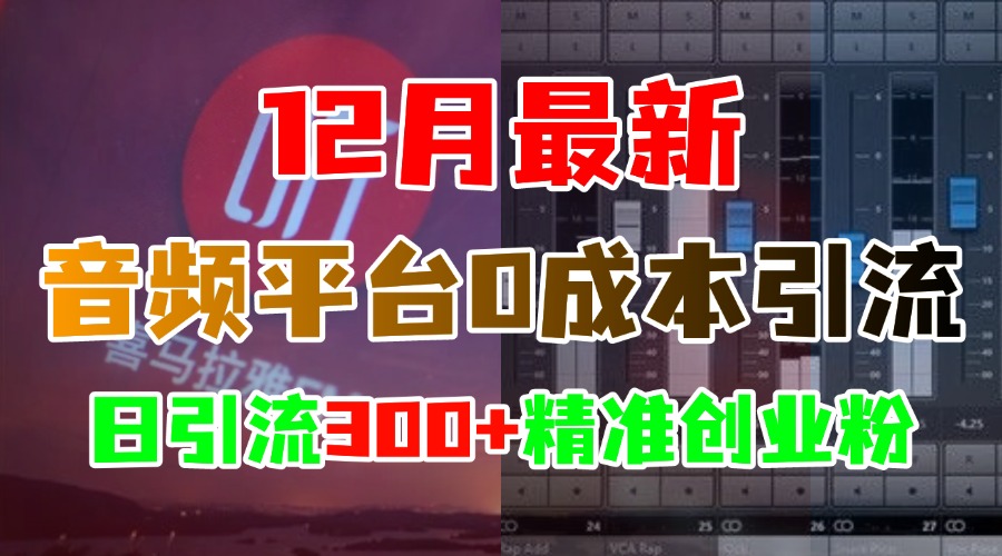 12月最新：音频平台0成本引流，日引300+精准创业粉网创吧-网创项目资源站-副业项目-创业项目-搞钱项目八百网赚
