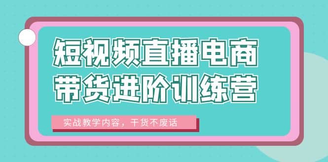 短视频直播电商带货进阶训练营：实战教学内容，干货不废话网创吧-网创项目资源站-副业项目-创业项目-搞钱项目八百网赚