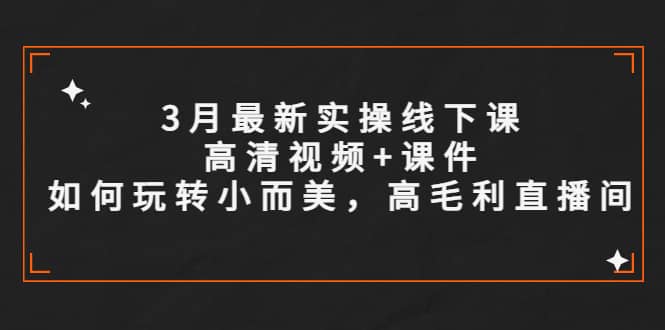 3月最新实操线下课高清视频+课件，如何玩转小而美，高毛利直播间网创吧-网创项目资源站-副业项目-创业项目-搞钱项目八百网赚
