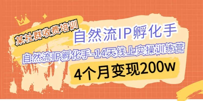 某社群收费培训：自然流IP 孵化手-14天线上实操训练营 4个月变现200w网创吧-网创项目资源站-副业项目-创业项目-搞钱项目八百网赚