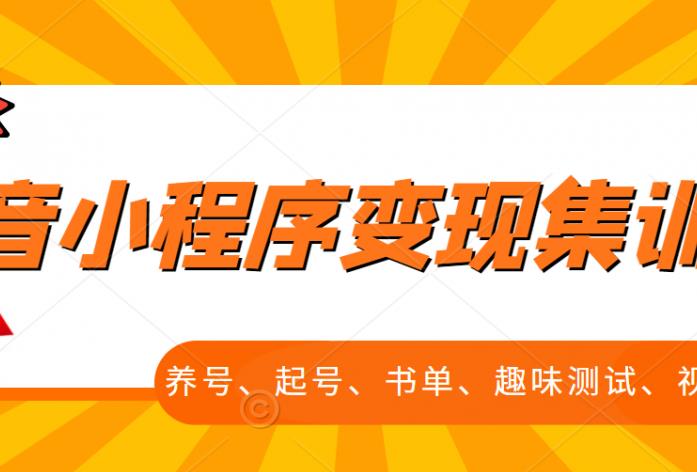 抖音小程序变现集训课，养号、起号、书单、趣味测试、视频剪辑，全套流程网创吧-网创项目资源站-副业项目-创业项目-搞钱项目八百网赚