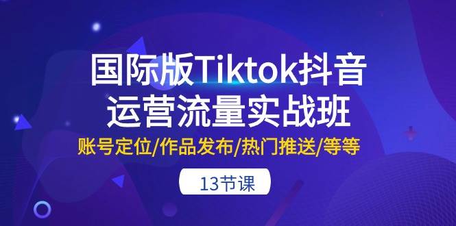 国际版Tiktok抖音运营流量实战班：账号定位/作品发布/热门推送/等等-13节网创吧-网创项目资源站-副业项目-创业项目-搞钱项目八百网赚