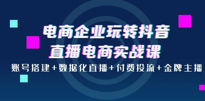电商企业玩转抖音直播电商实战课：账号搭建+数据化直播+付费投流+金牌主播网创吧-网创项目资源站-副业项目-创业项目-搞钱项目八百网赚