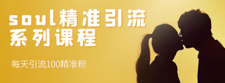 soul精准引流系列课程，每天引流100精准粉网创吧-网创项目资源站-副业项目-创业项目-搞钱项目八百网赚