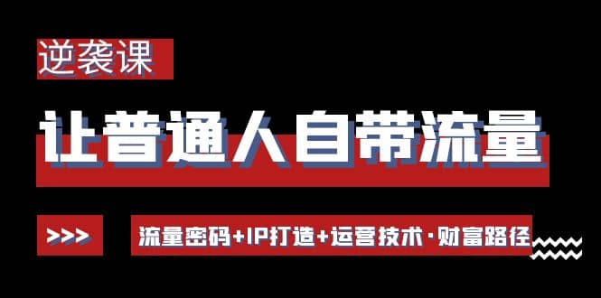 让普通人自带流量的逆袭课：流量密码+IP打造+运营技术·财富路径网创吧-网创项目资源站-副业项目-创业项目-搞钱项目八百网赚